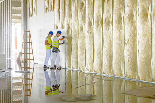 Best Insulation Maintenance and Repair in Bellaire, TX